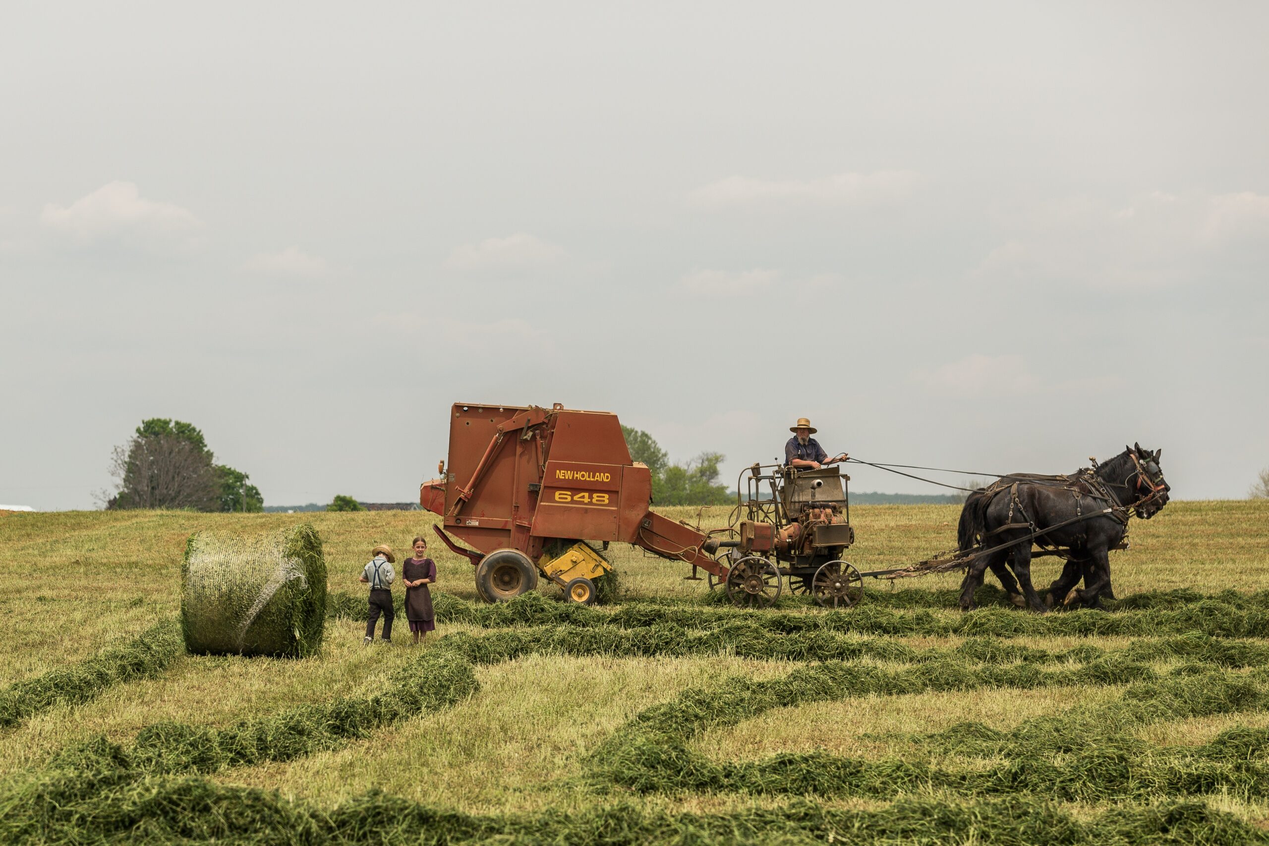 Amish family in a field with a horse and baler.